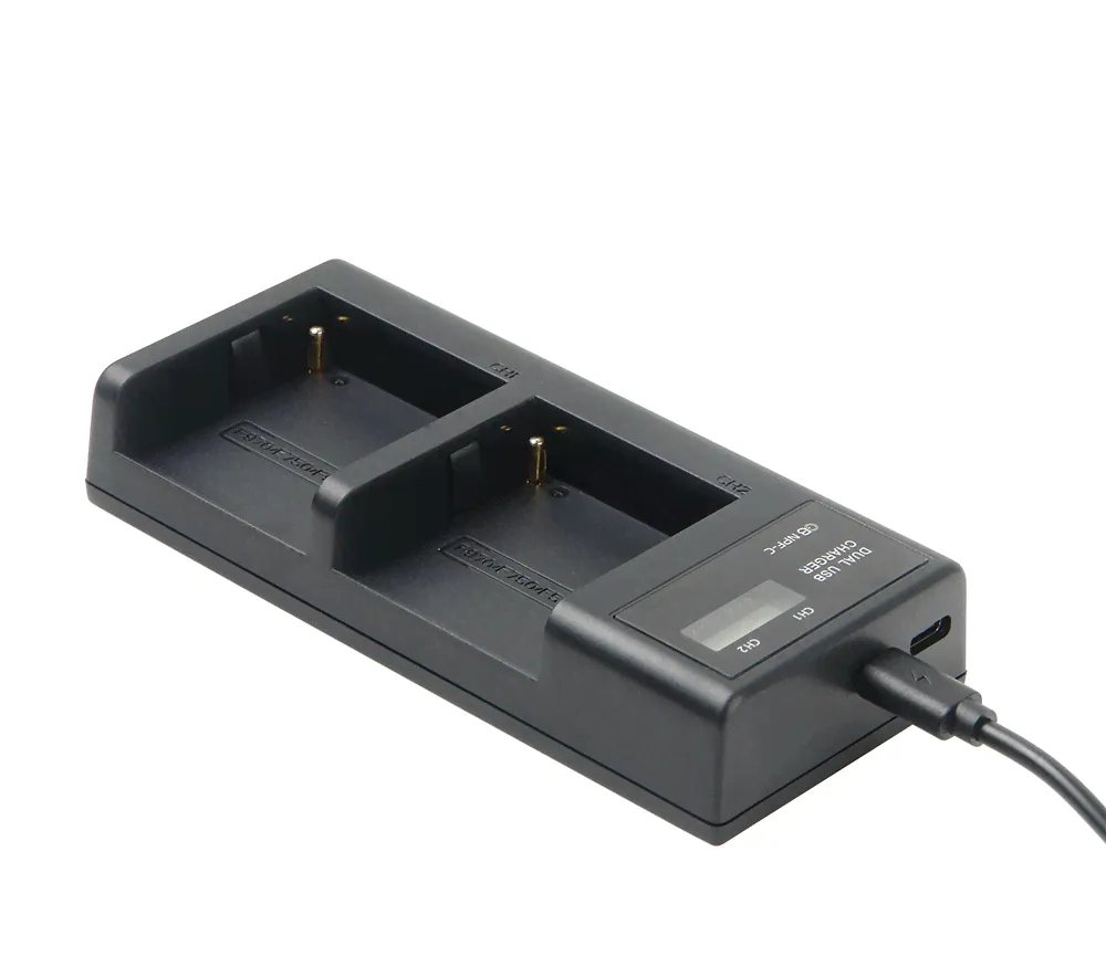 Зарядное устройство GreenBean DualCharger NPF-C, Черный, DualCharger NPF-C