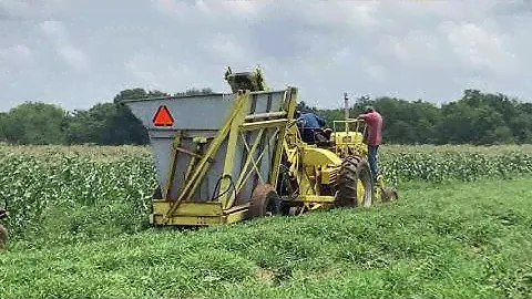 Green bean Picker working in the field
