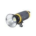 Осветитель GreenBean SunLight 100 LEDX3 BW