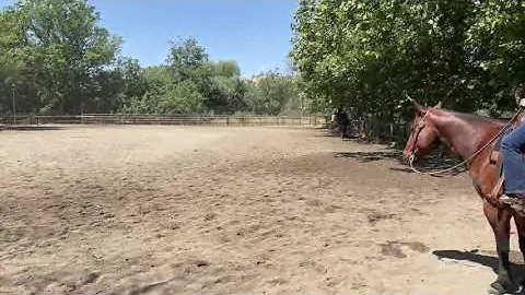RHC 5.16.21 Ranch Riding W/J (pattern)